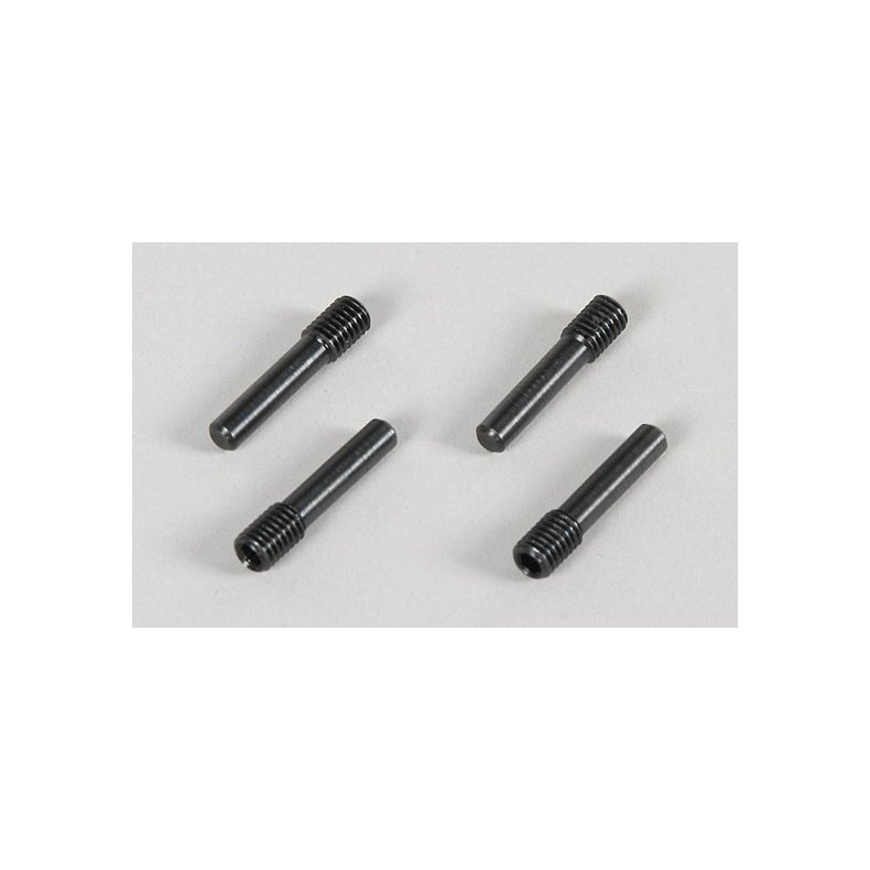 06096 Dampfer-Befestigungsschraube (4st)